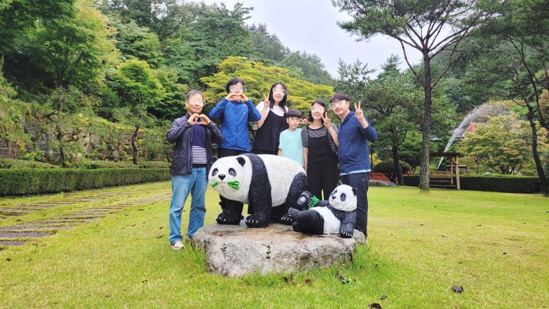 사진 5