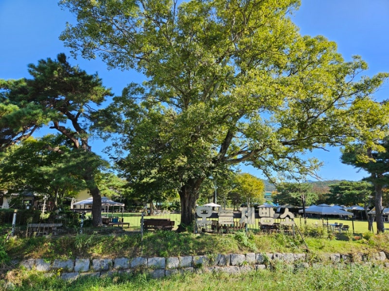사진 7