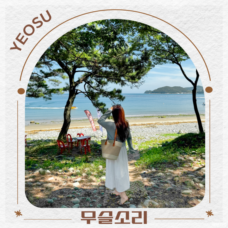 사진 5