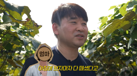 ‘효주야 사랑해’”… <b>형부</b>의 전설의 고백법 ('<b>한가인</b> 유튜브')