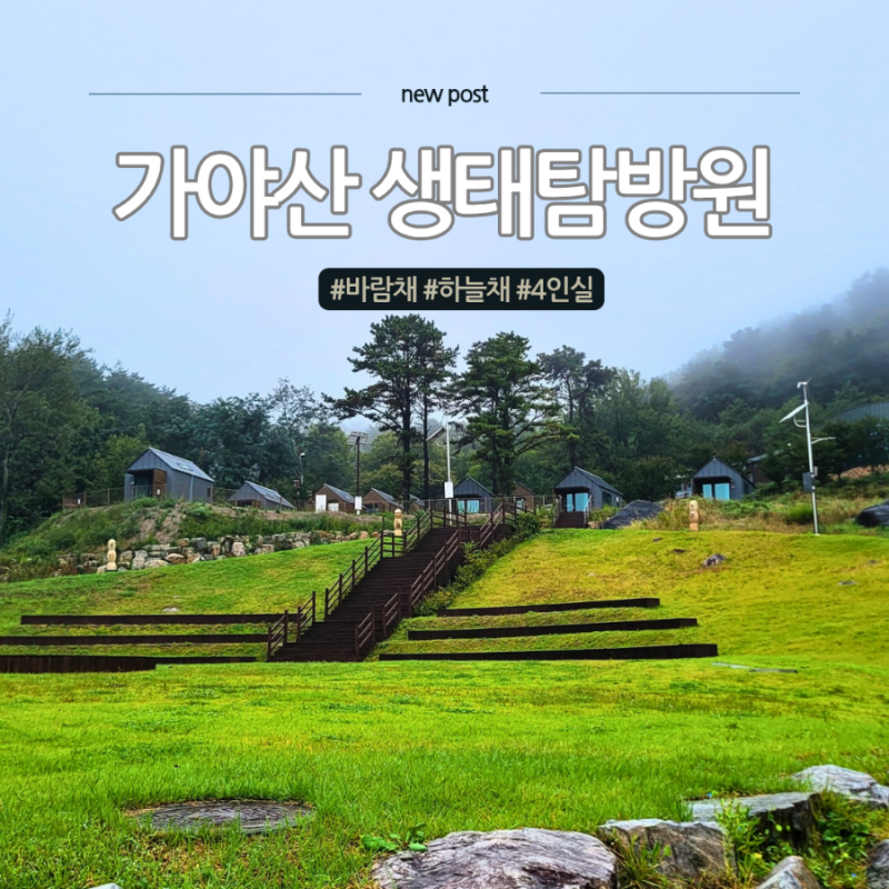 가야산 생태탐방원 가기 전 알아야 할 5가지 현실 정보