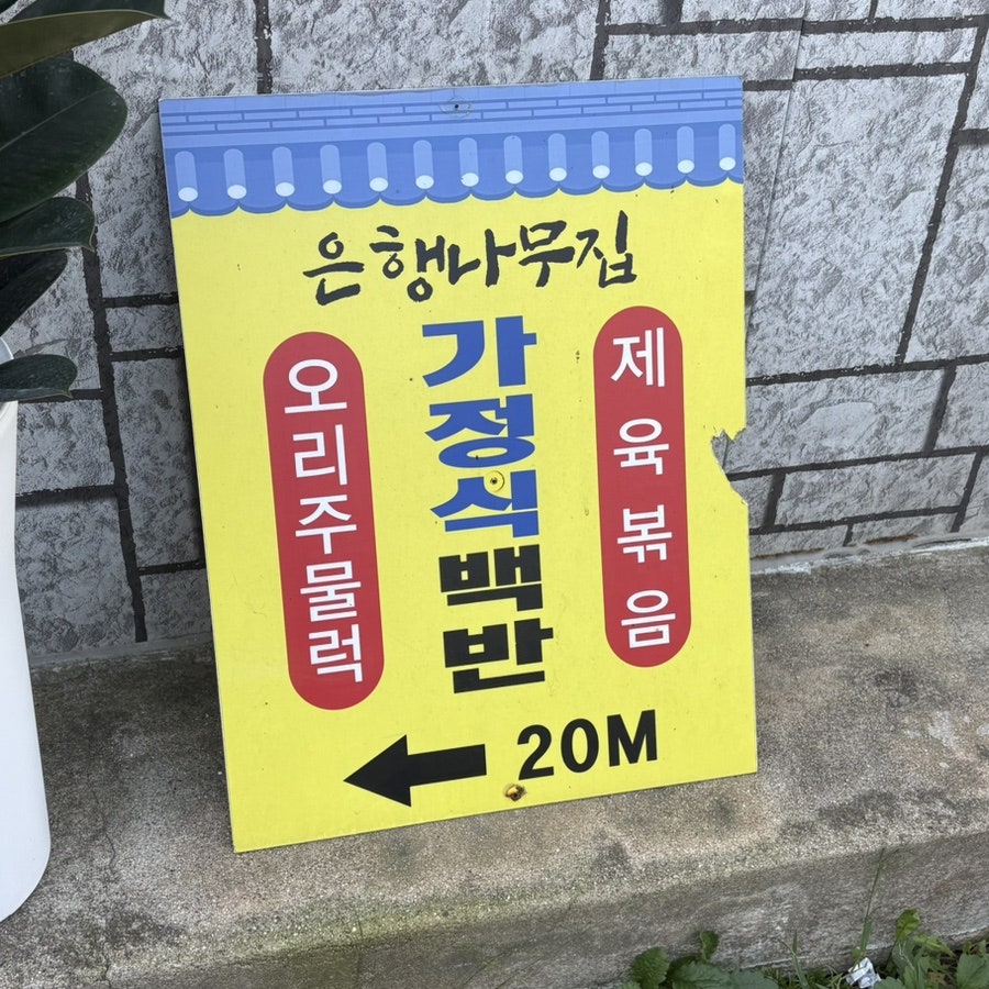 은행나무집 사진 2