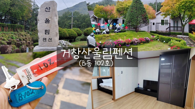 사진 4