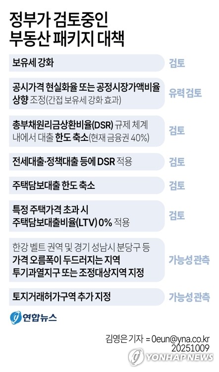 추석 연휴 뒤 정부가 내놓을 회심의 <b>부동산 패키지 대책</b>은?