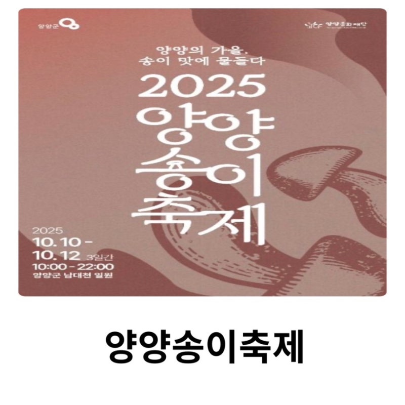 양양송이축제 2025 기본정보 날짜 프로그램 행사 장소 가수 일정