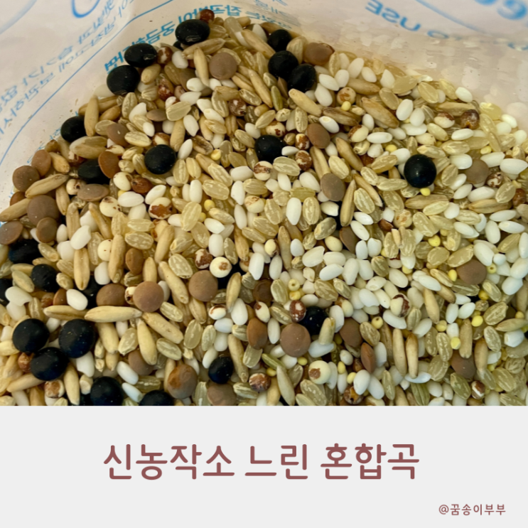  신농작소 저속노화밥 느린 혼합곡으로 밥을 지어요