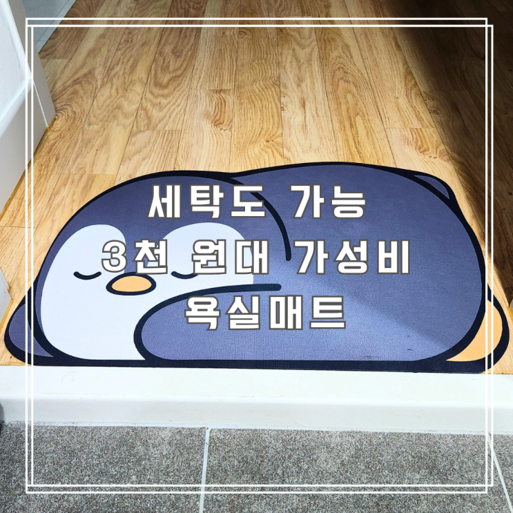  3천 원대 가성비 욕실매트 찾는다면? 세탁 가능한 펭귄 규조토 매트 추천