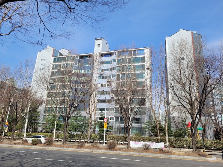 성남시,분당 재건축 선도지구 주민 부담 완화-1기 신도시 재건축 사업의 변화와 판교 부동산 시장 영향