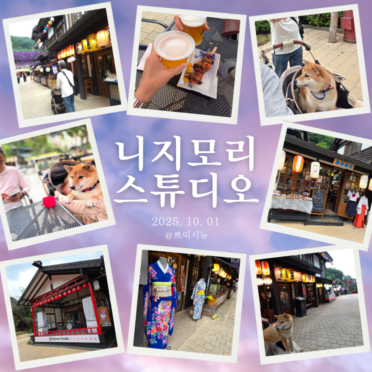  니지모리 스튜디오 애견동반 여행 | 다온이와 가족 된 지 3주년 기념 스케치