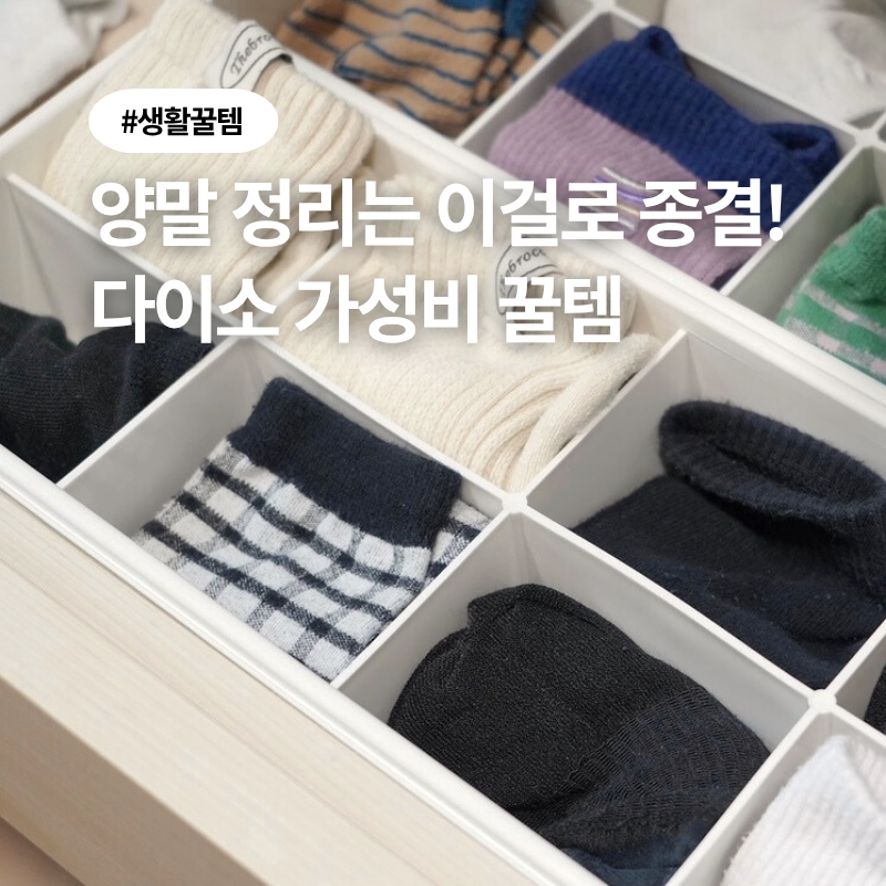 다이소 옷장 양말 속옷 정리함 칸칸이 플라스틱 수납