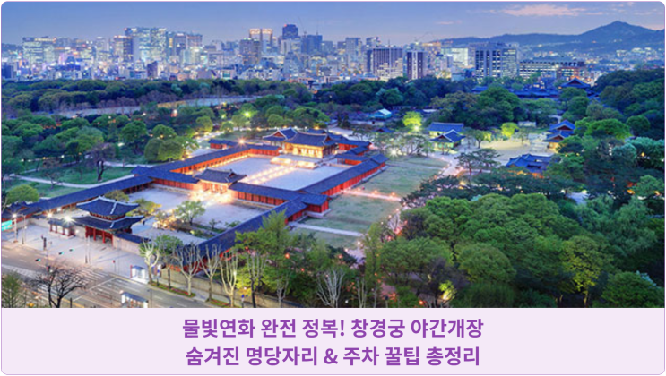  물빛연화 완전 정복! 창경궁 야간개장: 숨겨진 명당자리 & 주차 꿀팁 총정리