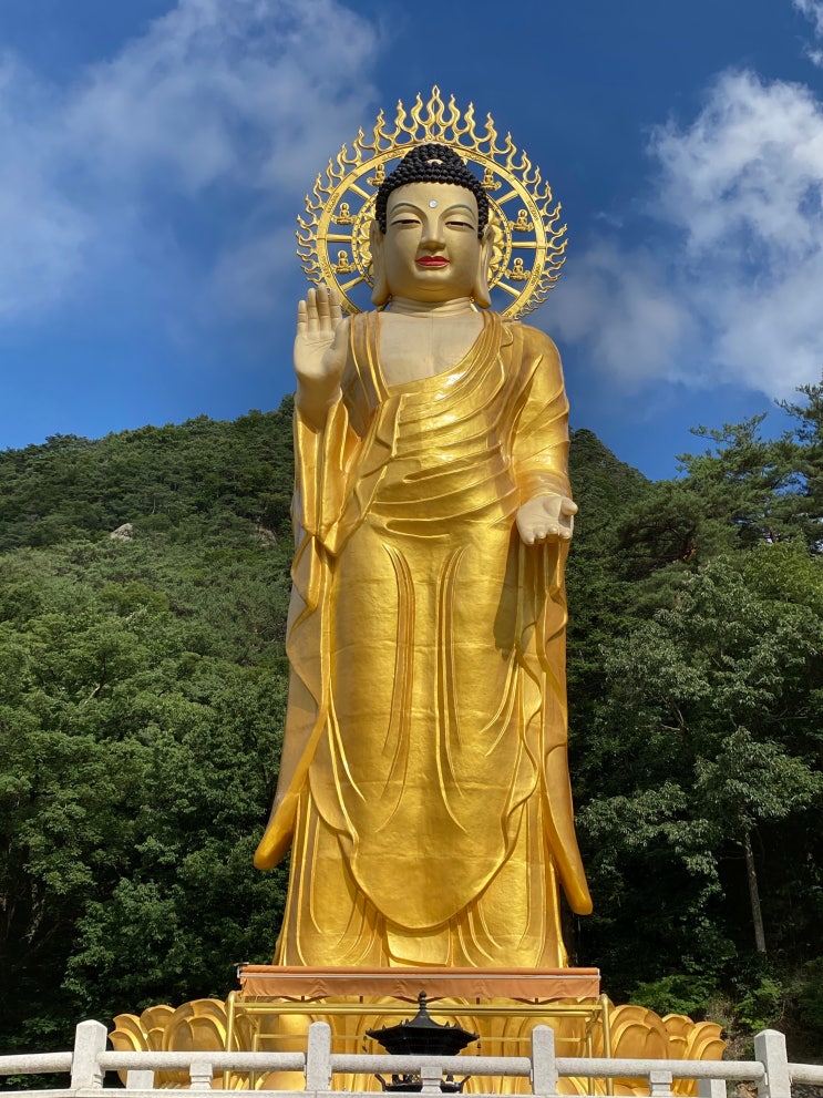  속리산 법주사: 이뭣고 다리부터 팔상전, 금동미륵대불, 마애여래의상까지
