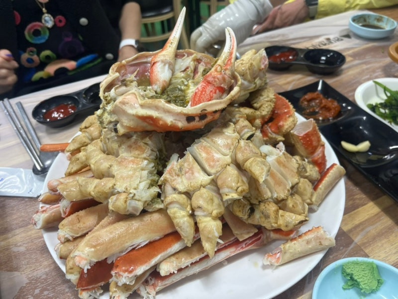 [경북 영덕] 영덕 대게 가격 2인 강구항 동광어시장 대게 1kg 가격 시세 영덕 대게 싸게 먹는 ....