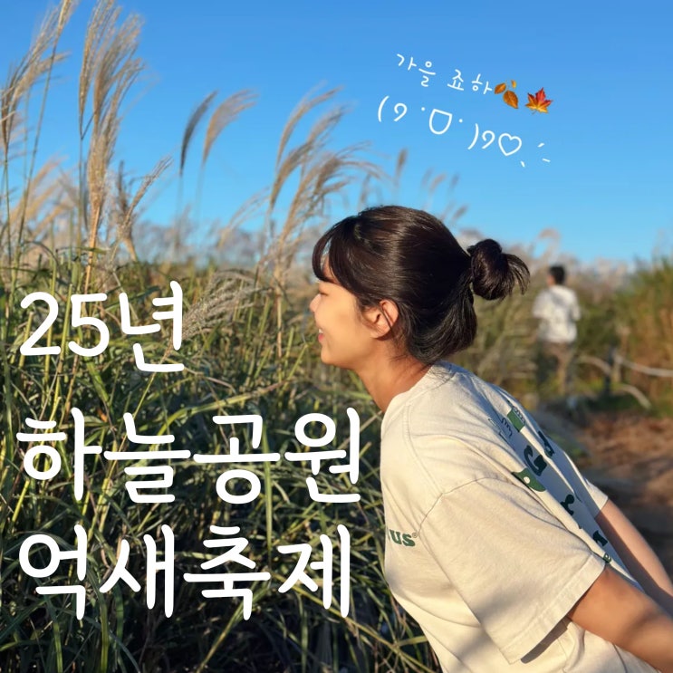  10월 가볼만한곳 서울 상암 하늘공원 다녀온 후기 25년 억새축제 소개 (주차, 포토존)