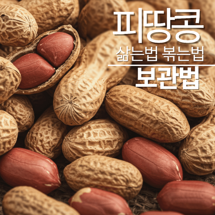  피땅콩삶는법 보관법 볶는법 효능!