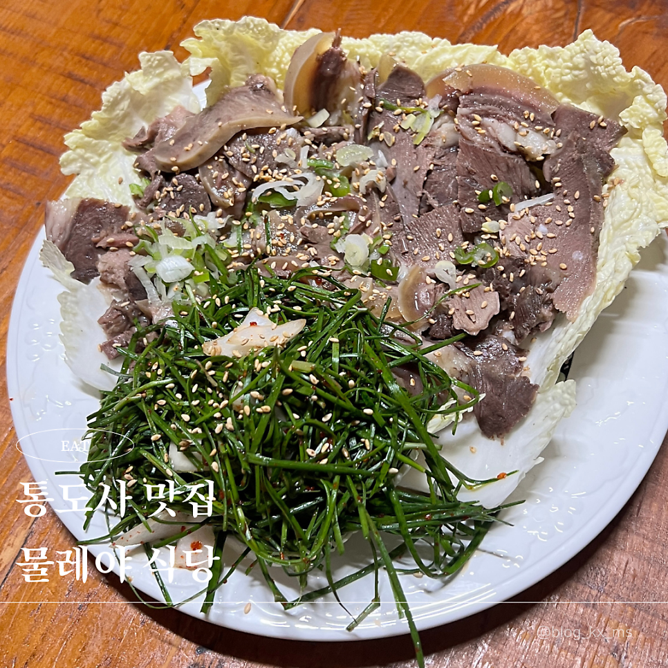 물레야 사진 1