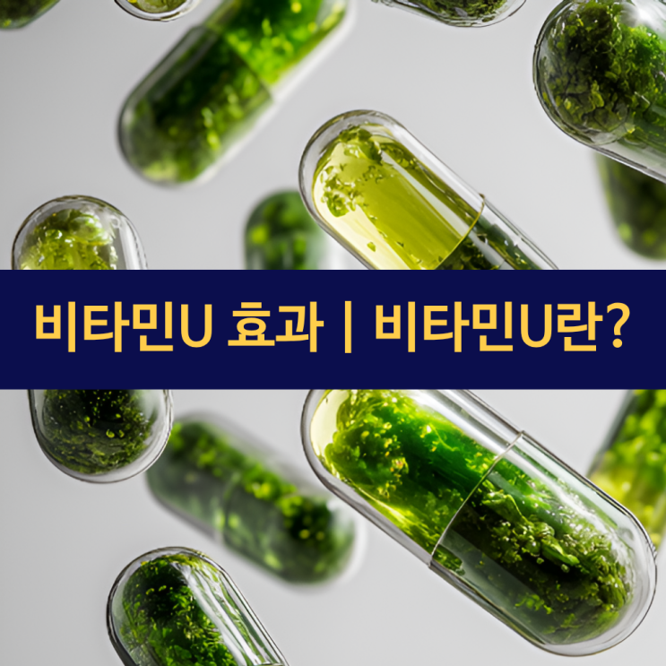  비타민U 효과 | 비타민U란? | 양배추 효능 | 위장 건강 지킴