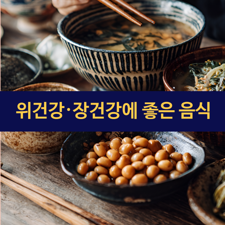  위건강에 좋은 음식 | 장건강에 좋은 음식 | 소화기 건강 지키는 방법
