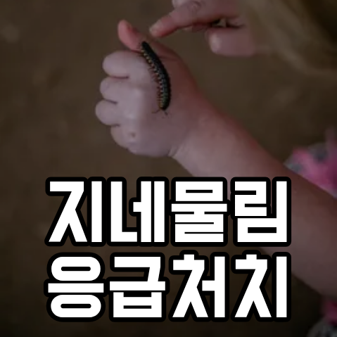지네물림 자국, 증상, 응급처치방법