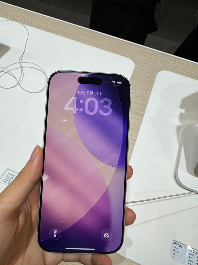 아이폰17프로 자급제 256GB 실버 특징 리뷰 구매처