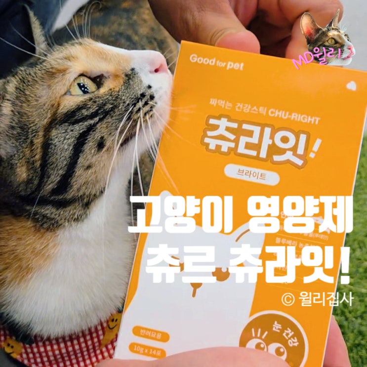  고양이영양제 츄르 추천 굿포펫 츄라잇 연어로 눈 건강 챙겨