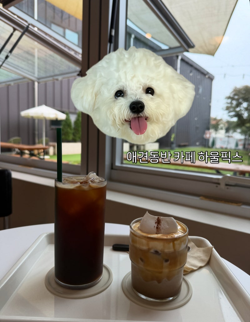 사진 7