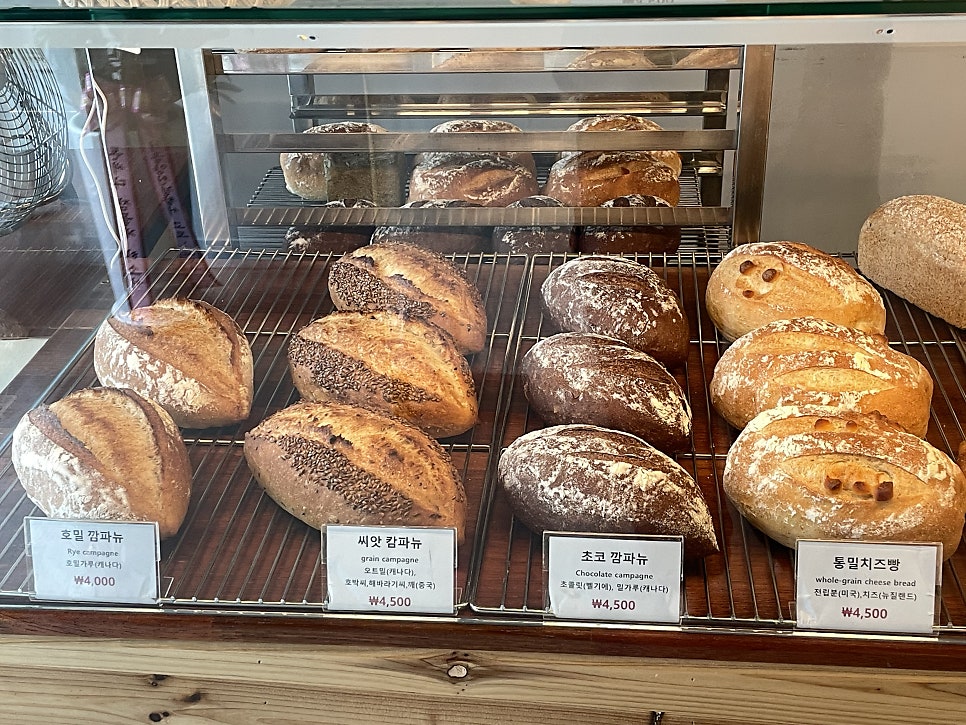 우니따 사진 6