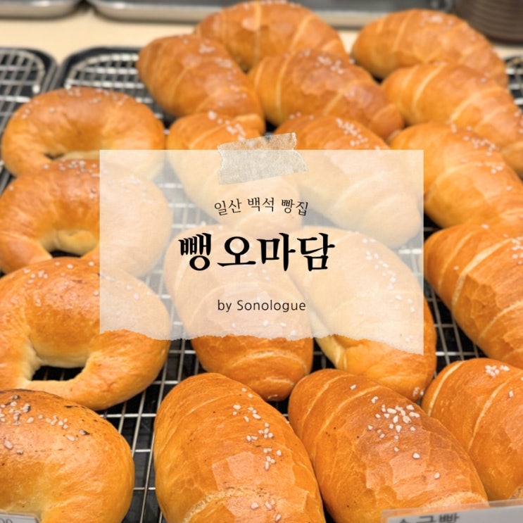  고양 일산 백석 소금빵 수제 케이크 전문 베이커리 빵집 - 뺑오마담