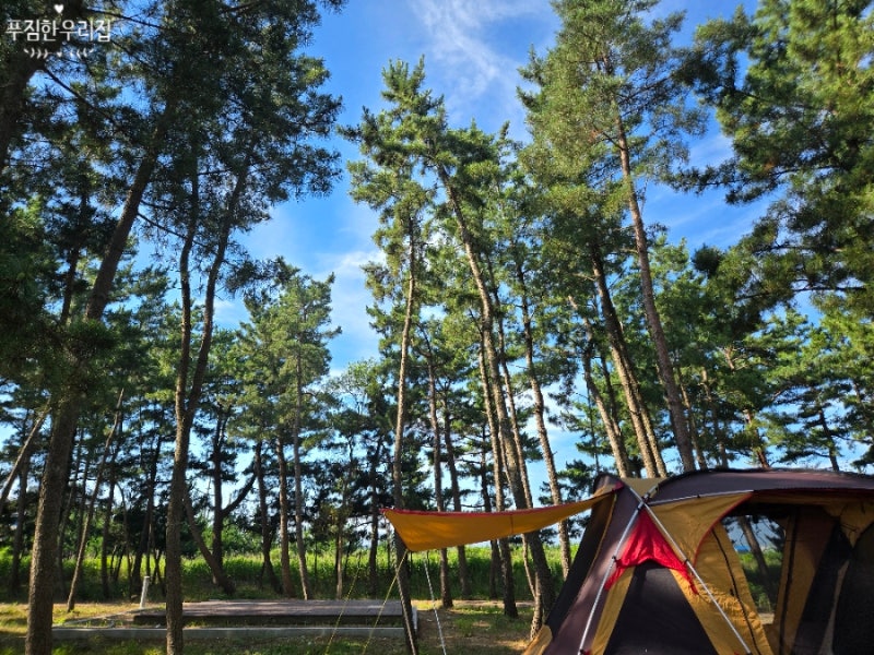 Goseong, Gangwon-do [Jajakdo Campground]: Best Spots, Same-Day Beach Access, and Clam Digging