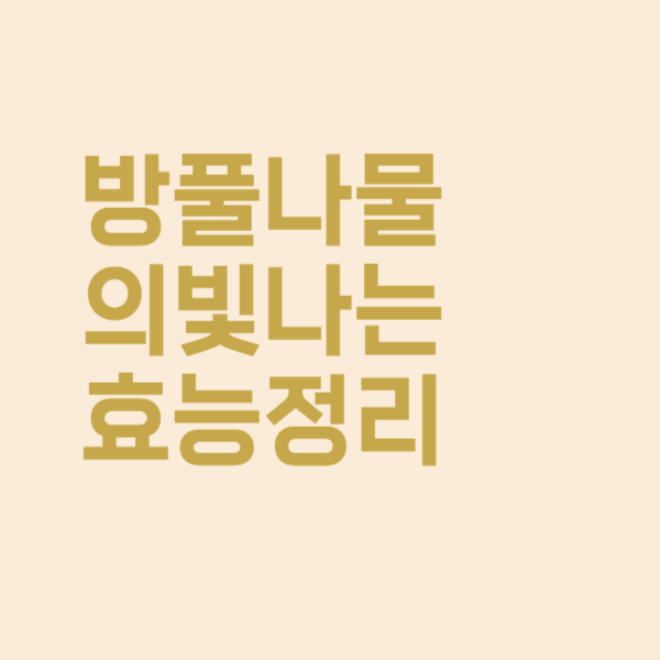  잘 알려지지 않은 방풀나물의 빛나는 효능들