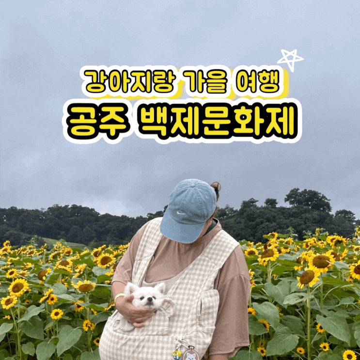  공주 백제문화제 강아지랑 가을여행 미르섬 주차 애견동반