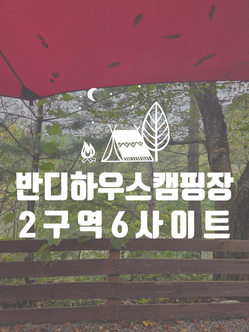 사진 6