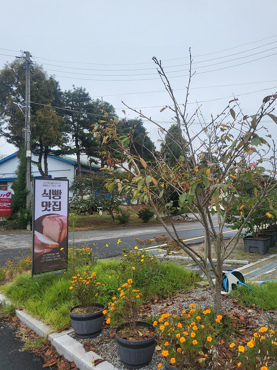 카페메리골드 사진 2