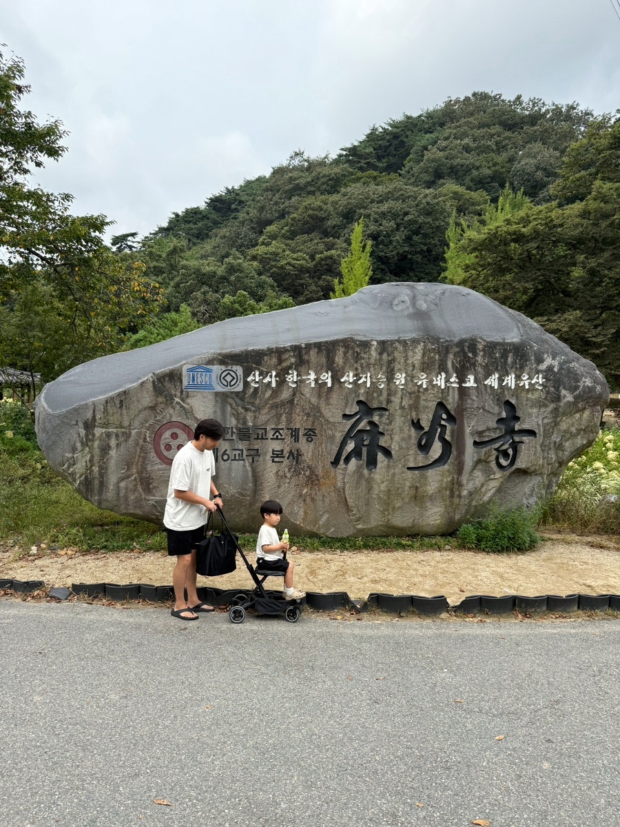 다루정 사진 4