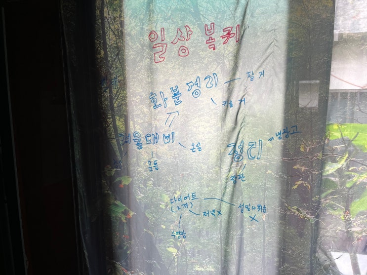  다이소 가을옷 구경 / 다이소 아크릴 마커(3000) / 일상으로의 복귀