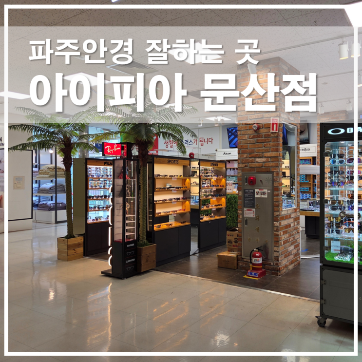  파주안경 잘하는곳 아이피아 안경점 문산홈플러스 단초점렌즈 후기
