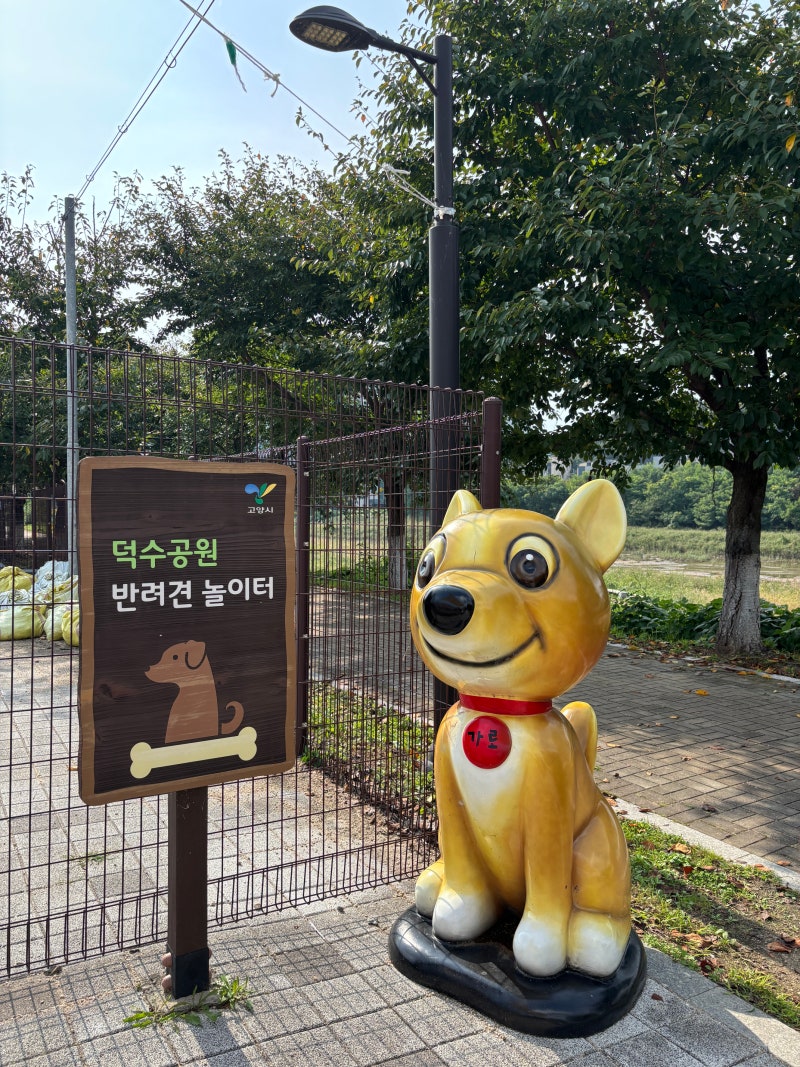 사진 5