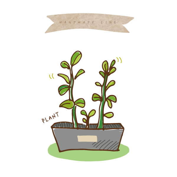  돈이 자라는 식물 행운을 부르는 나만의 돈나무
