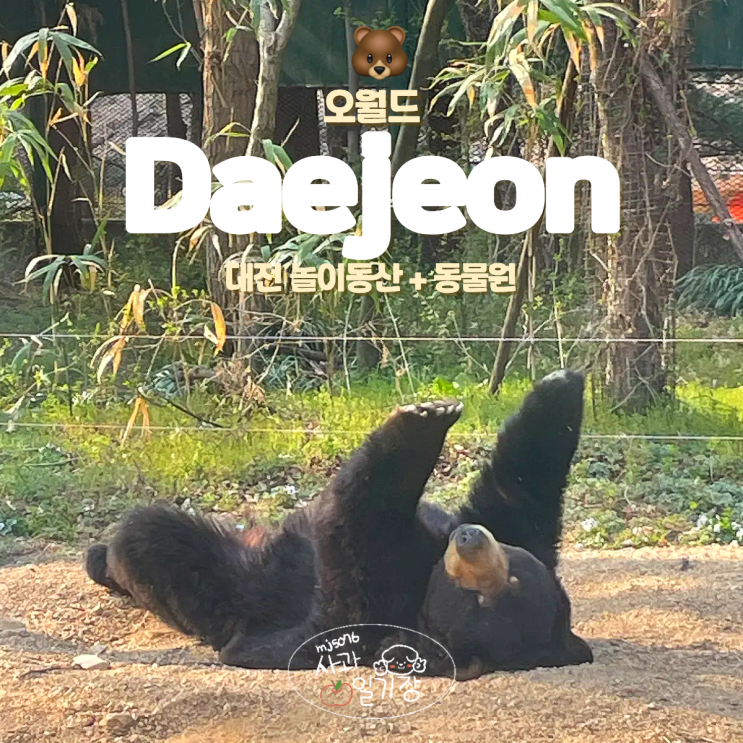  대전 오월드 동물원 사파리 주말 데이트