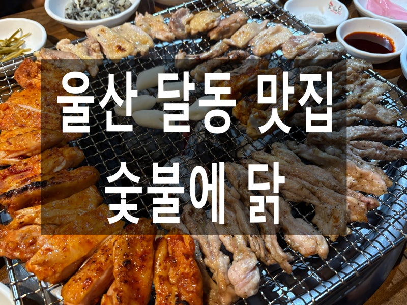 울산 달동 맛집 숯불에닭｜닭 특수부위 전문점