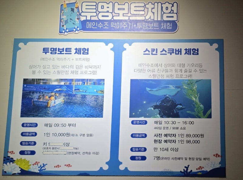 제주도 서귀포 아쿠아리움 투명보트 체험후기