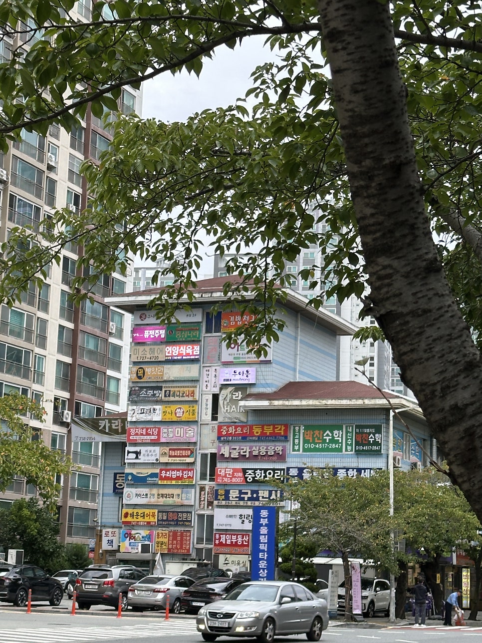 중화요리 대판 사진 2