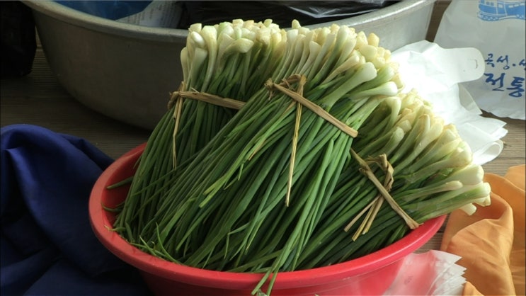 가을쪽파 제철에 즐기는 알싸한 향과 맛의 비밀