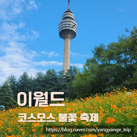 10월 코스모스 불꽃 축제 기본 정보 꿀팁 2025 대구이월드