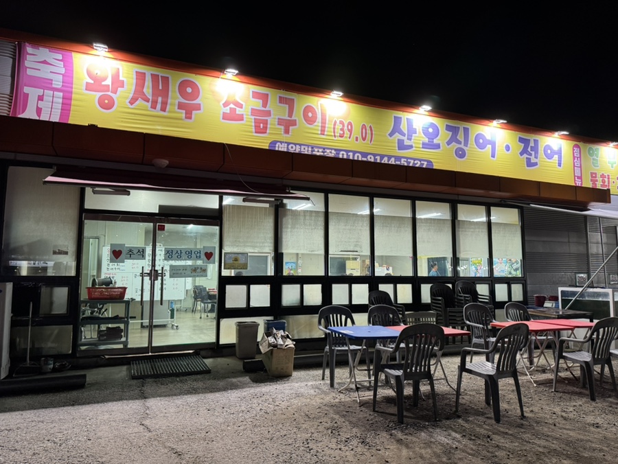 불나방 사진 2