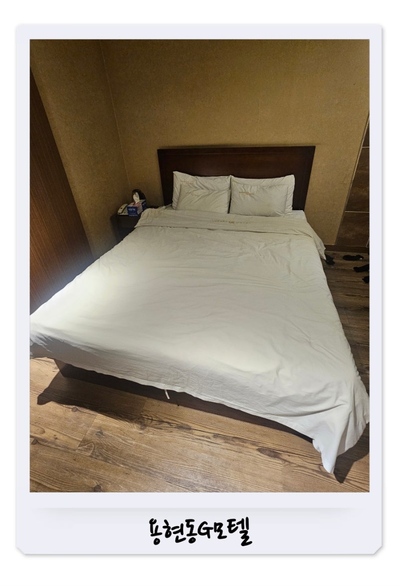 사진 7