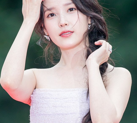 <b>아이유 악플러</b>, <b>징역형</b> 집유 선고 - 허위 사실 유포 사건
