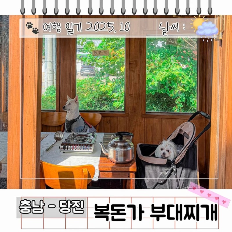 사진 7