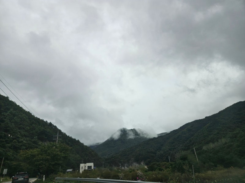 사진 3