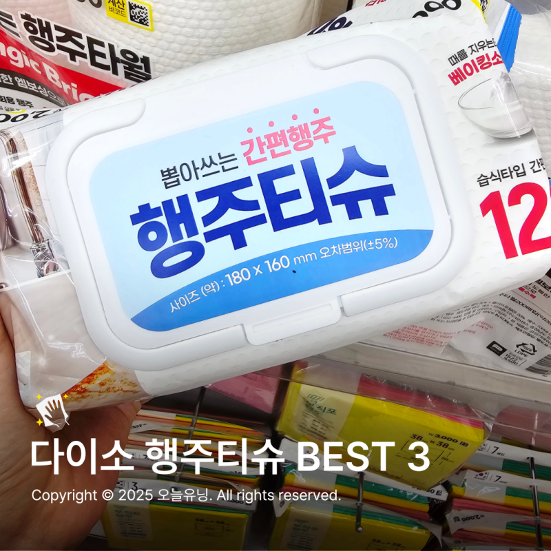 다이소 세균닦는 행주티슈 종류 총정리 숨은 꿀템 추천